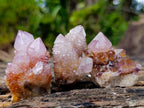 Natural Spirit Amethyst Crystals and Clusters x 35 From Boekenhouthoek, South Africa - Toprock Gemstones and Minerals 