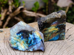 Polished On One Side Labradorite Slices x 24 From Madagascar - Toprock Gemstones and Minerals 