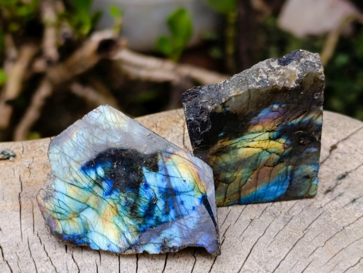 Polished On One Side Labradorite Slices x 24 From Madagascar - Toprock Gemstones and Minerals 