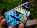 Polished On One Side Labradorite Slices x 24 From Madagascar - Toprock Gemstones and Minerals 