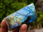 Polished On One Side Labradorite Slices x 24 From Madagascar - Toprock Gemstones and Minerals 