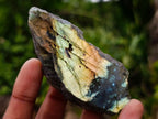 Polished On One Side Labradorite Slices x 24 From Madagascar - Toprock Gemstones and Minerals 