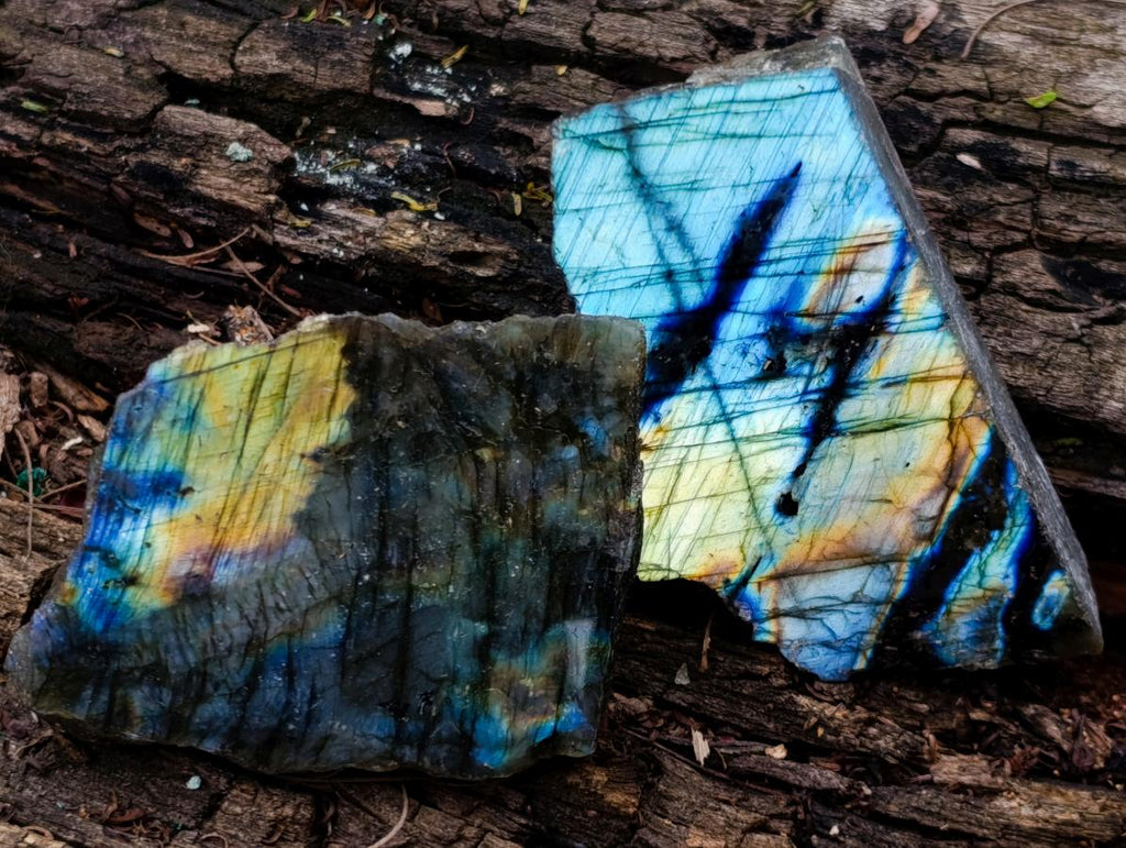 Polished On One Side Labradorite Slices x 24 From Madagascar - Toprock Gemstones and Minerals 