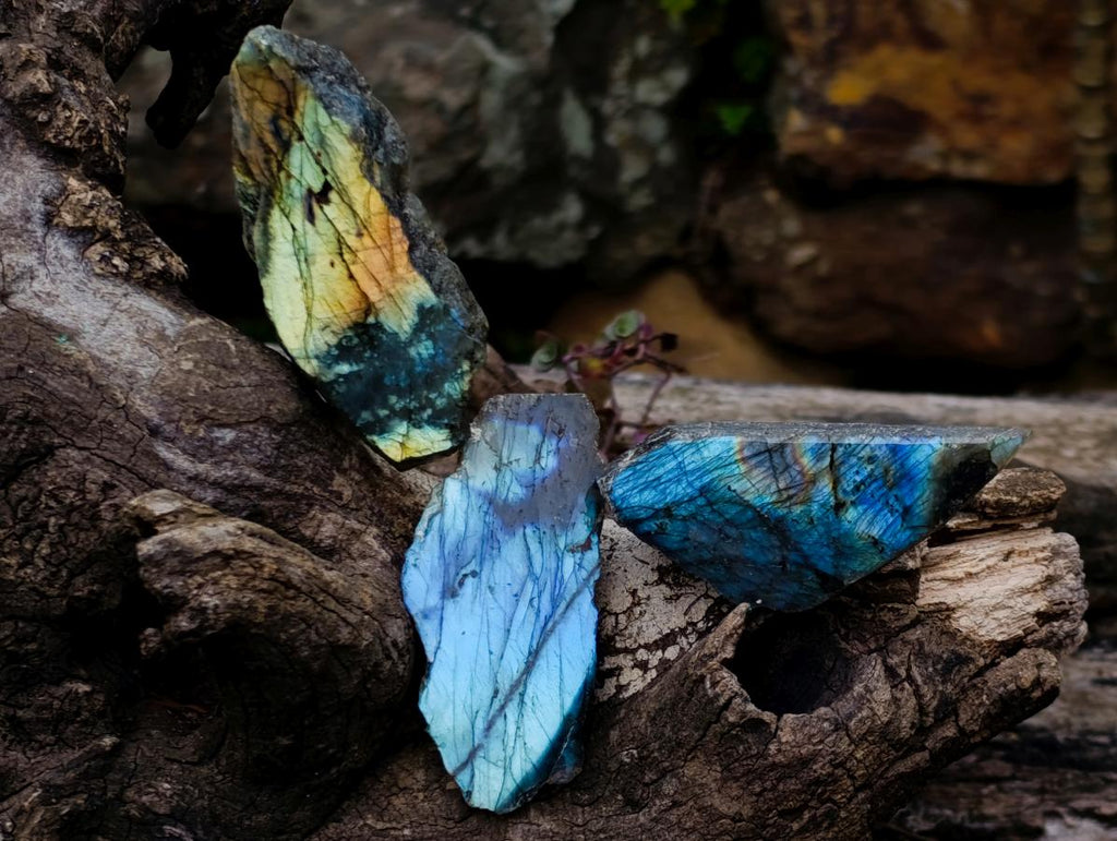 Polished On One Side Labradorite Slices x 24 From Madagascar - Toprock Gemstones and Minerals 