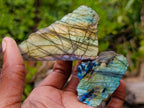 Polished On One Side Labradorite Slices x 24 From Madagascar - Toprock Gemstones and Minerals 