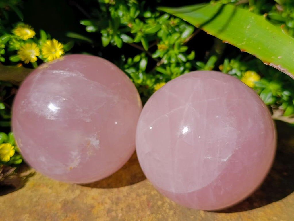 Polished Gemmy Star Rose Quartz Spheres x 2 From Madagascar - Toprock Gemstones and Minerals 