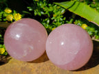 Polished Gemmy Star Rose Quartz Spheres x 2 From Madagascar - Toprock Gemstones and Minerals 