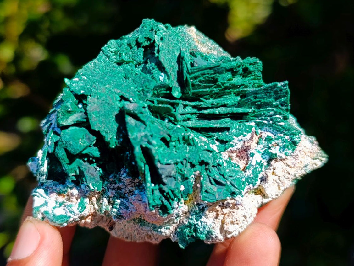 Natural Rare Malachite Pseudomorph Specimens x 6 From Kolwezi, Congo