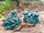 Natural Dioptase on Dolomite Specimens with Malachite x 12 From Likasi, Congo - Toprock Gemstones and Minerals 