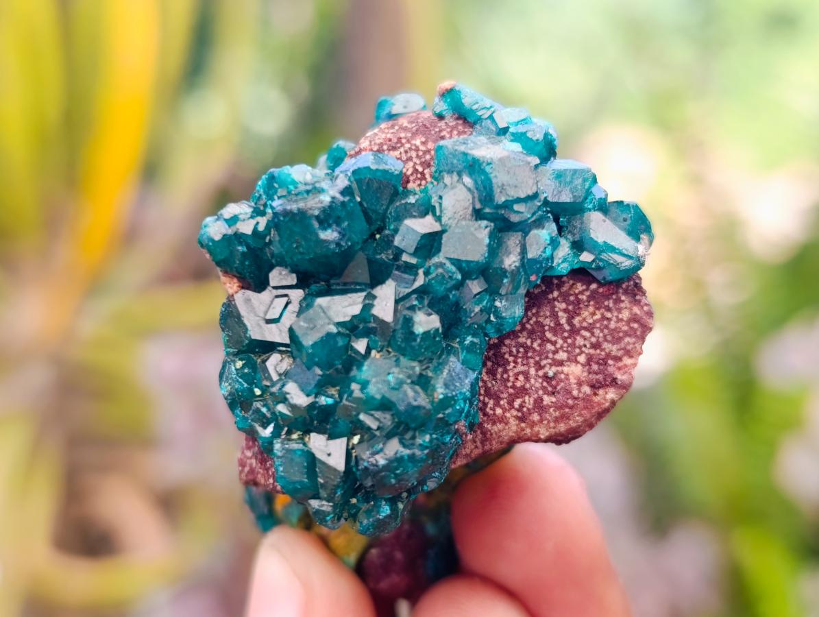 Natural Dioptase on Dolomite Specimens with Malachite x 12 From Likasi, Congo - Toprock Gemstones and Minerals 