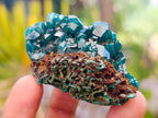 Natural Dioptase on Dolomite Specimens with Malachite x 12 From Likasi, Congo - Toprock Gemstones and Minerals 