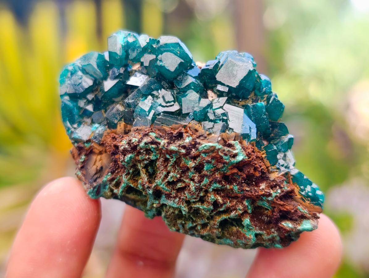 Natural Dioptase on Dolomite Specimens with Malachite x 12 From Likasi, Congo - Toprock Gemstones and Minerals 