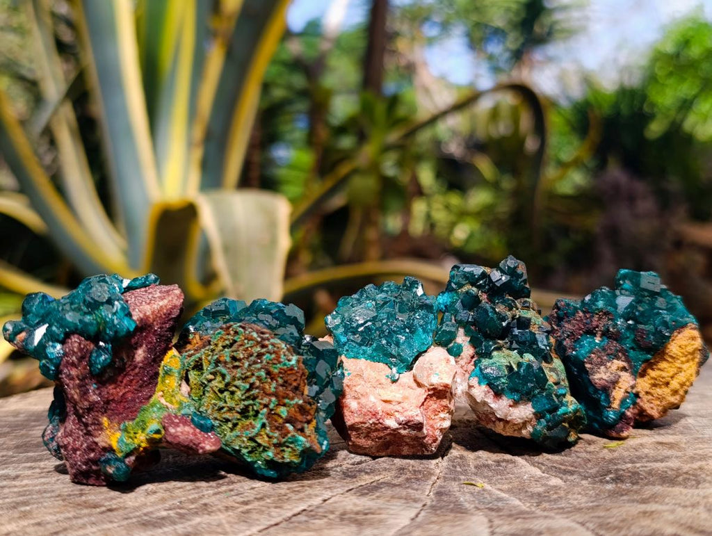 Natural Dioptase on Dolomite Specimens with Malachite x 12 From Likasi, Congo - Toprock Gemstones and Minerals 