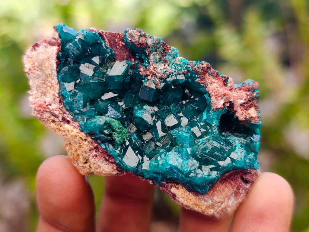Natural Dioptase on Dolomite Specimens with Malachite x 12 From Likasi, Congo - Toprock Gemstones and Minerals 