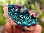 Natural Dioptase on Dolomite Specimens with Malachite x 12 From Likasi, Congo - Toprock Gemstones and Minerals 