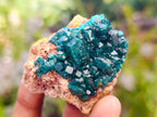 Natural Dioptase on Dolomite Specimens with Malachite x 12 From Likasi, Congo - Toprock Gemstones and Minerals 