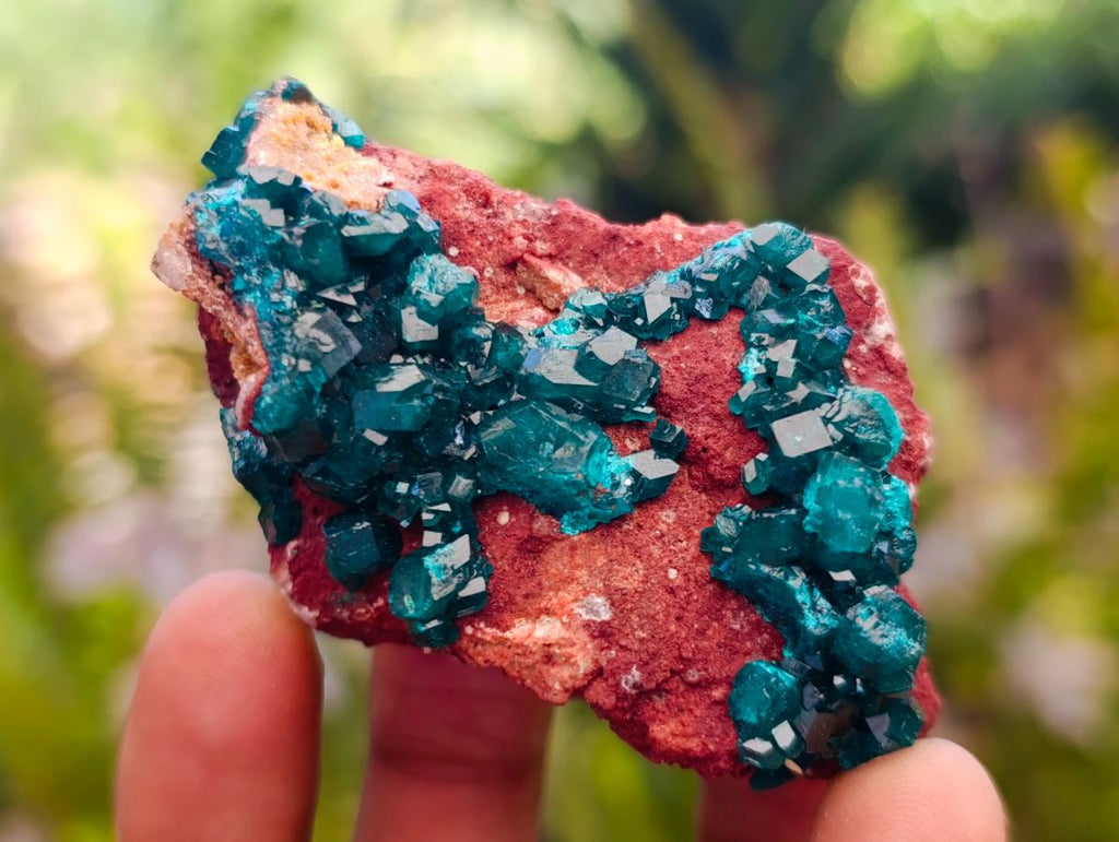Natural Dioptase on Dolomite Specimens with Malachite x 12 From Likasi, Congo - Toprock Gemstones and Minerals 