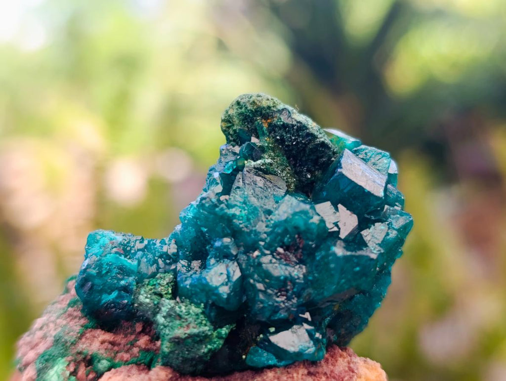 Natural Dioptase on Dolomite Specimens with Malachite x 12 From Likasi, Congo - Toprock Gemstones and Minerals 