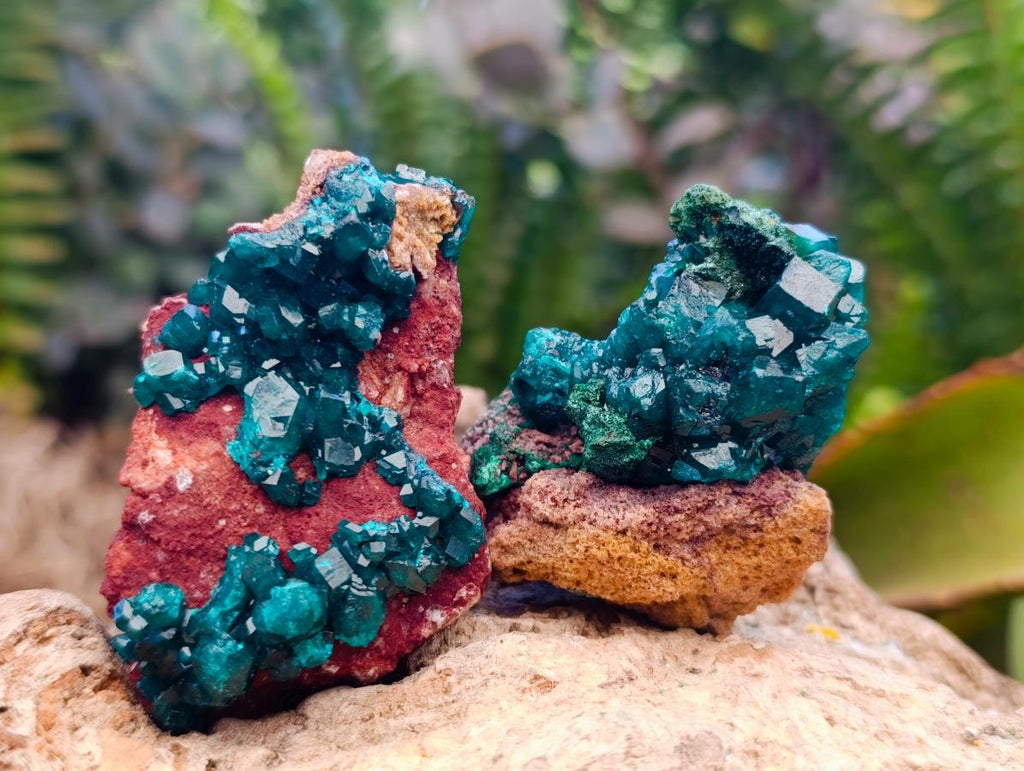 Natural Dioptase on Dolomite Specimens with Malachite x 12 From Likasi, Congo - Toprock Gemstones and Minerals 