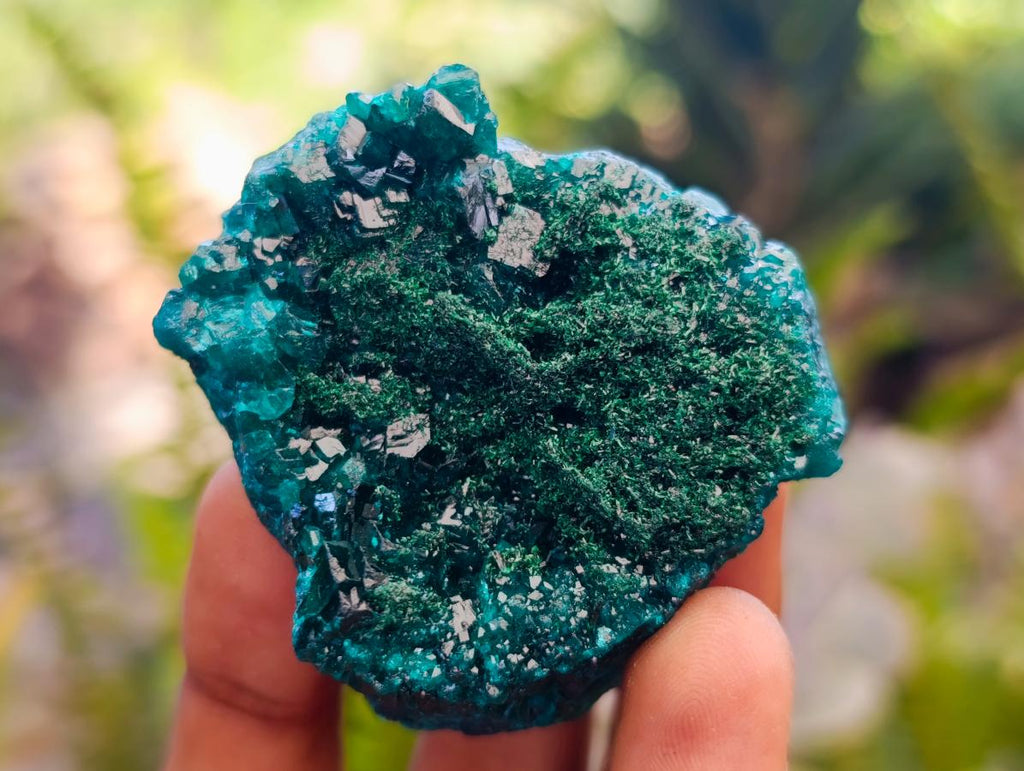 Natural Dioptase on Dolomite Specimens with Malachite x 12 From Likasi, Congo - Toprock Gemstones and Minerals 