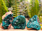Natural Dioptase on Dolomite Specimens with Malachite x 12 From Likasi, Congo - Toprock Gemstones and Minerals 
