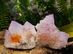 Natural Sunburst Spirit Amethyst Clusters x 7 From Boekenhouthoek, South Africa - Toprock Gemstones and Minerals 