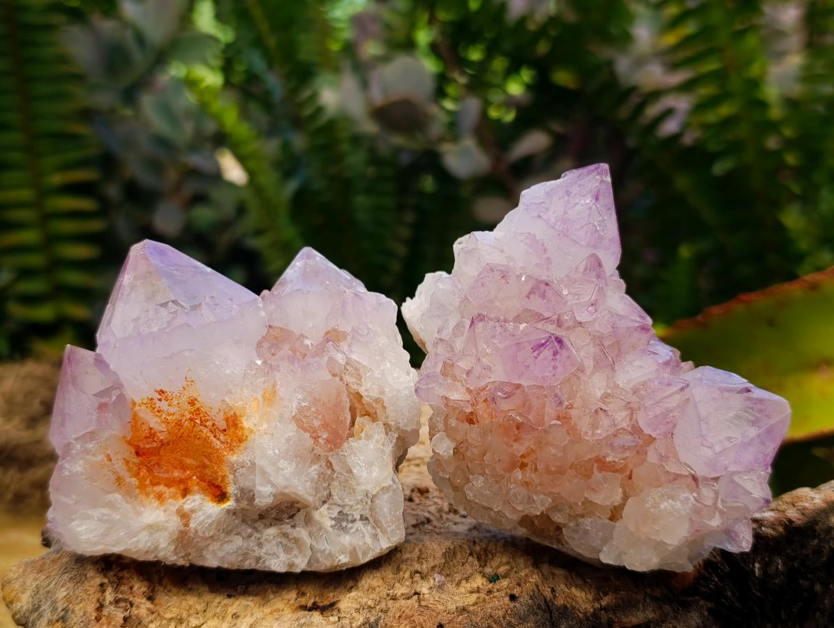 Natural Sunburst Spirit Amethyst Clusters x 7 From Boekenhouthoek, South Africa - Toprock Gemstones and Minerals 