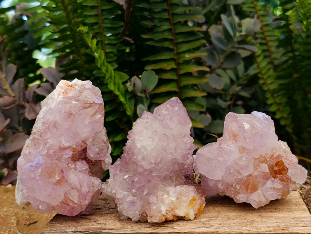 Natural Sunburst Spirit Amethyst Clusters x 7 From Boekenhouthoek, South Africa - Toprock Gemstones and Minerals 