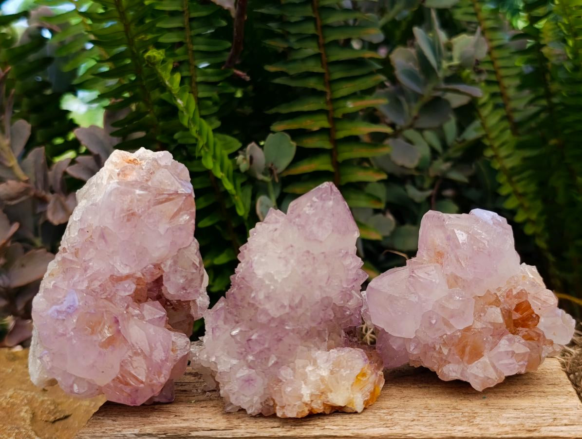 Natural Sunburst Spirit Amethyst Clusters x 7 From Boekenhouthoek, South Africa - Toprock Gemstones and Minerals 
