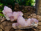 Natural Sunburst Spirit Amethyst Clusters x 7 From Boekenhouthoek, South Africa - Toprock Gemstones and Minerals 