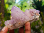 Natural Sunburst Spirit Amethyst Clusters x 7 From Boekenhouthoek, South Africa - Toprock Gemstones and Minerals 