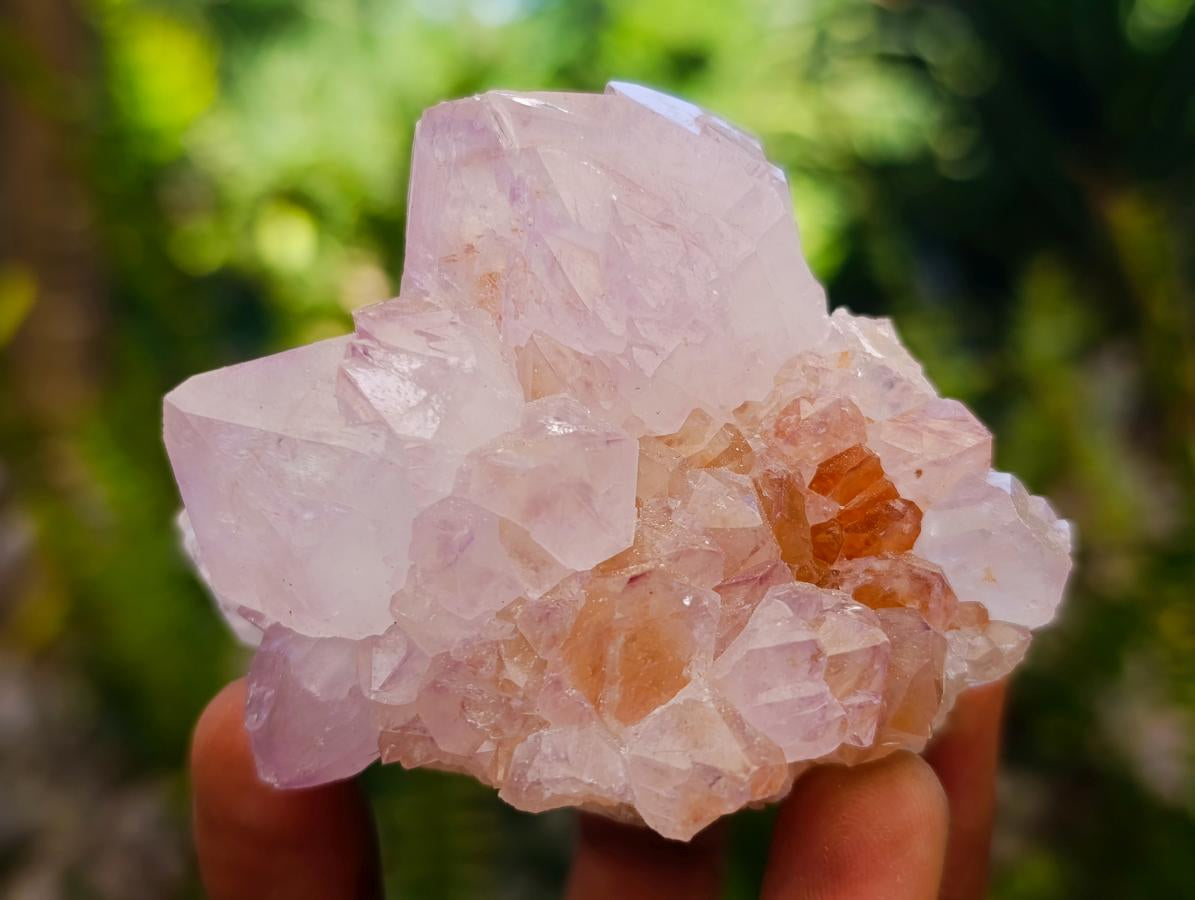 Natural Sunburst Spirit Amethyst Clusters x 7 From Boekenhouthoek, South Africa - Toprock Gemstones and Minerals 
