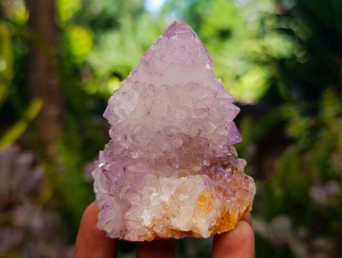 Natural Sunburst Spirit Amethyst Clusters x 7 From Boekenhouthoek, South Africa - Toprock Gemstones and Minerals 