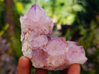 Natural Sunburst Spirit Amethyst Clusters x 7 From Boekenhouthoek, South Africa - Toprock Gemstones and Minerals 