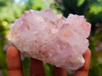Natural Sunburst Spirit Amethyst Clusters x 7 From Boekenhouthoek, South Africa - Toprock Gemstones and Minerals 