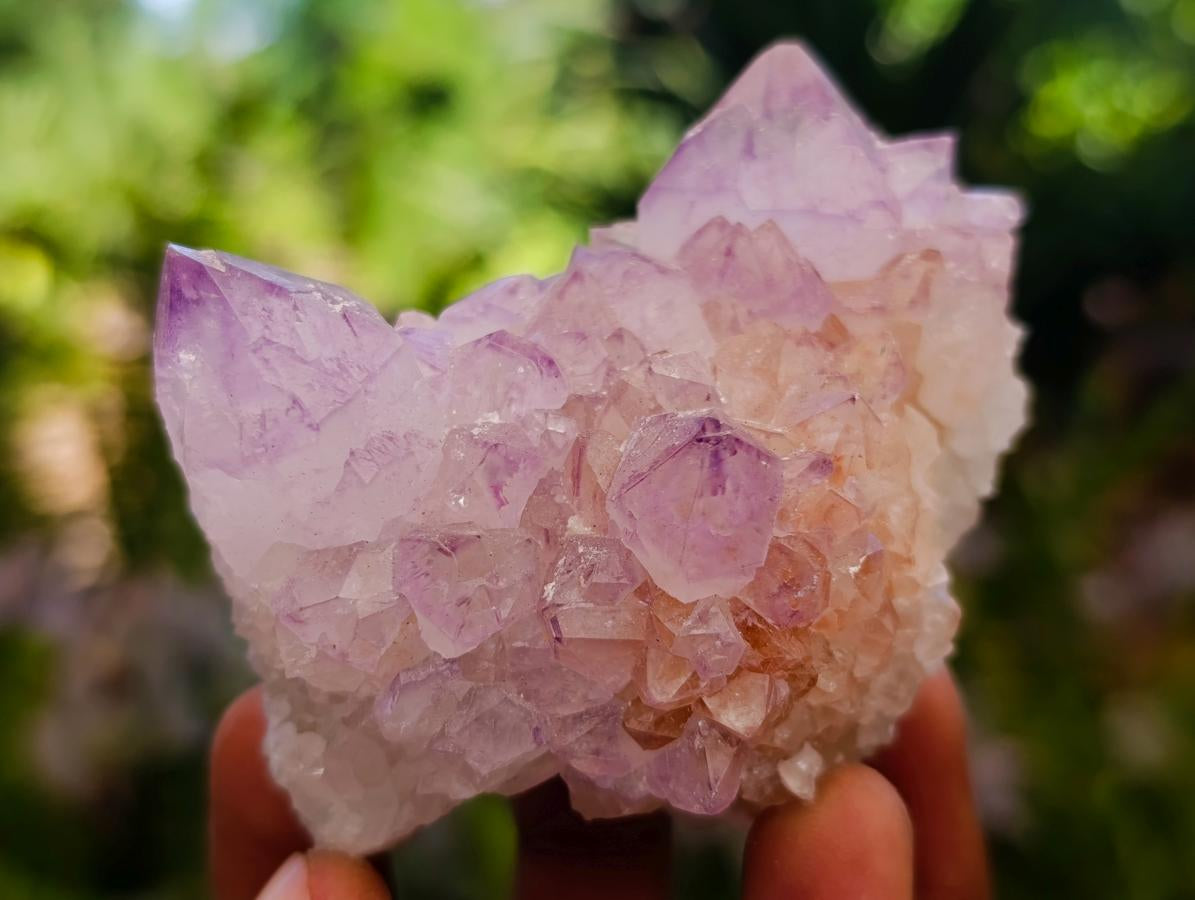 Natural Sunburst Spirit Amethyst Clusters x 7 From Boekenhouthoek, South Africa