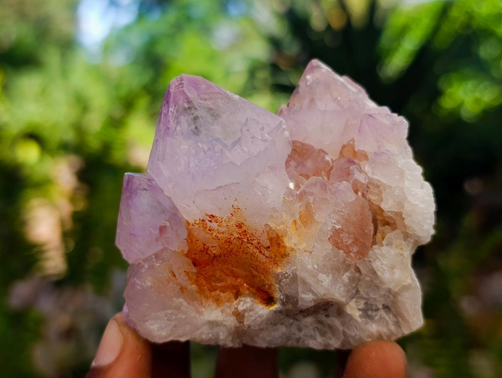 Natural Sunburst Spirit Amethyst Clusters x 7 From Boekenhouthoek, South Africa - Toprock Gemstones and Minerals 