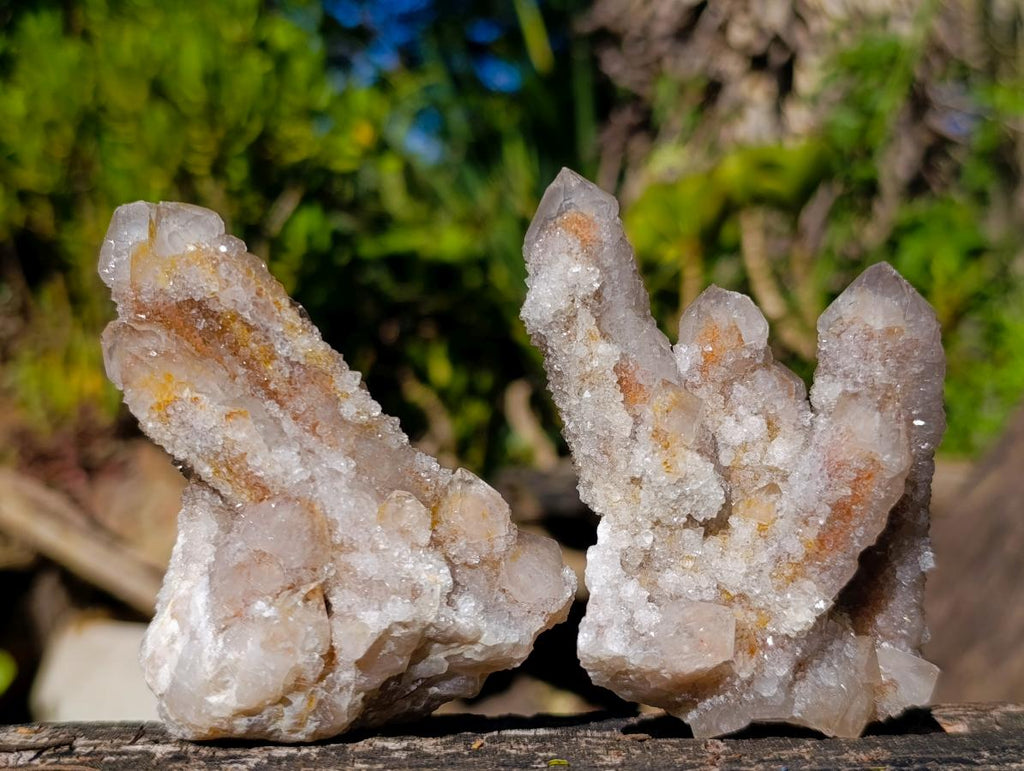 Natural Smokey Spirit Quartz Crystals and Clusters with Hematoid Coating x 21 From Boekenhouthoek, South Africa - Toprock Gemstones and Minerals 