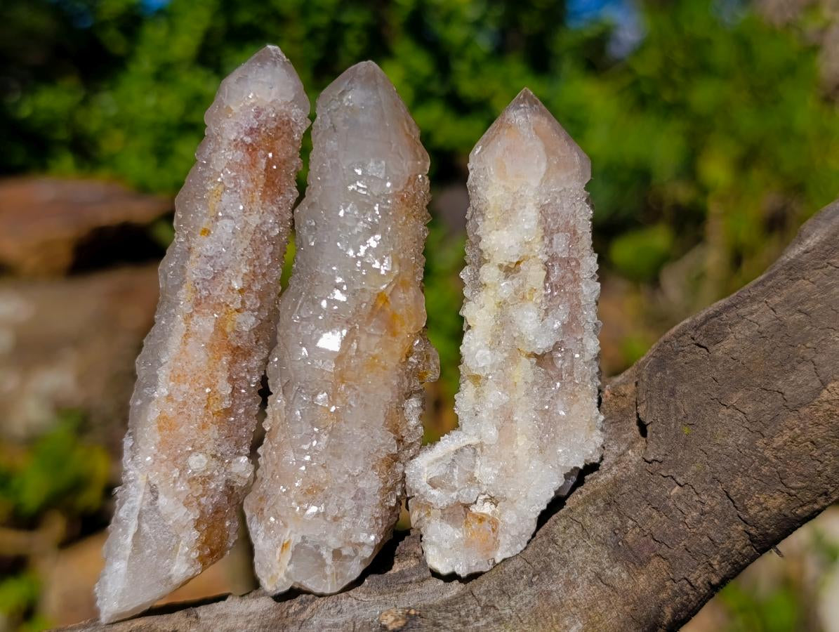 Natural Smokey Spirit Quartz Crystals and Clusters with Hematoid Coating x 21 From Boekenhouthoek, South Africa - Toprock Gemstones and Minerals 