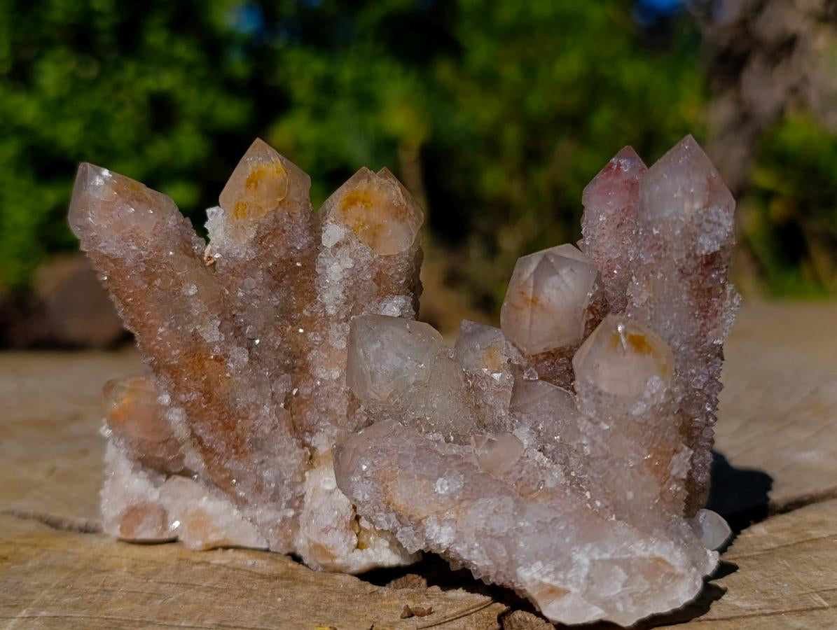 Natural Smokey Spirit Quartz Crystals and Clusters with Hematoid Coating x 21 From Boekenhouthoek, South Africa - Toprock Gemstones and Minerals 