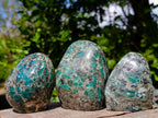 Polished Emerald Mica 'Mutokolite' Standing Free Forms x 3 From Mutoko, Zimbabwe - Toprock Gemstones and Minerals 