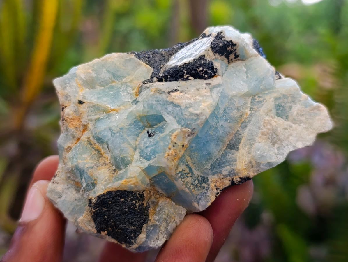 Natural Rare Aquamarine in Black Tourmaline Specimens x 6 From Karibib, Namibia