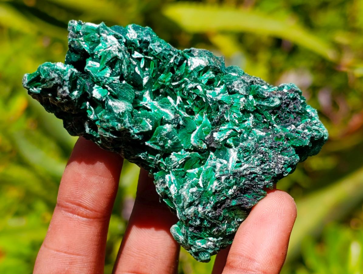 Natural Silky Malachite Specimens x 12 From Kasompe, Congo