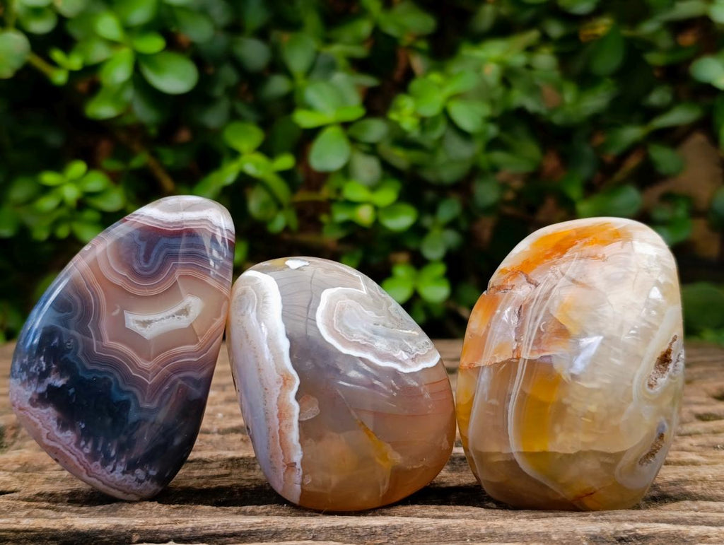 Polished Red Shashe River Agate Palm Stones x 12 From Shashe River, Zimbabwe - Toprock Gemstones and Minerals 