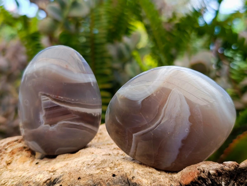 Polished Red Shashe River Agate Palm Stones x 12 From Shashe River, Zimbabwe - Toprock Gemstones and Minerals 