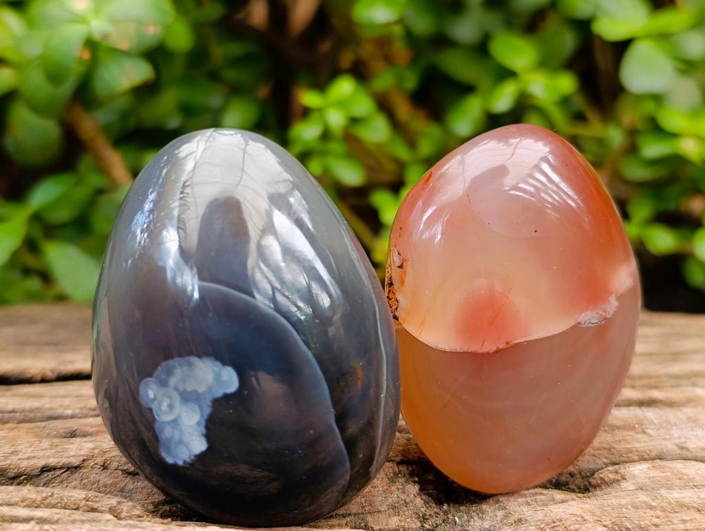 Polished Red Shashe River Agate Palm Stones x 12 From Shashe River, Zimbabwe - Toprock Gemstones and Minerals 