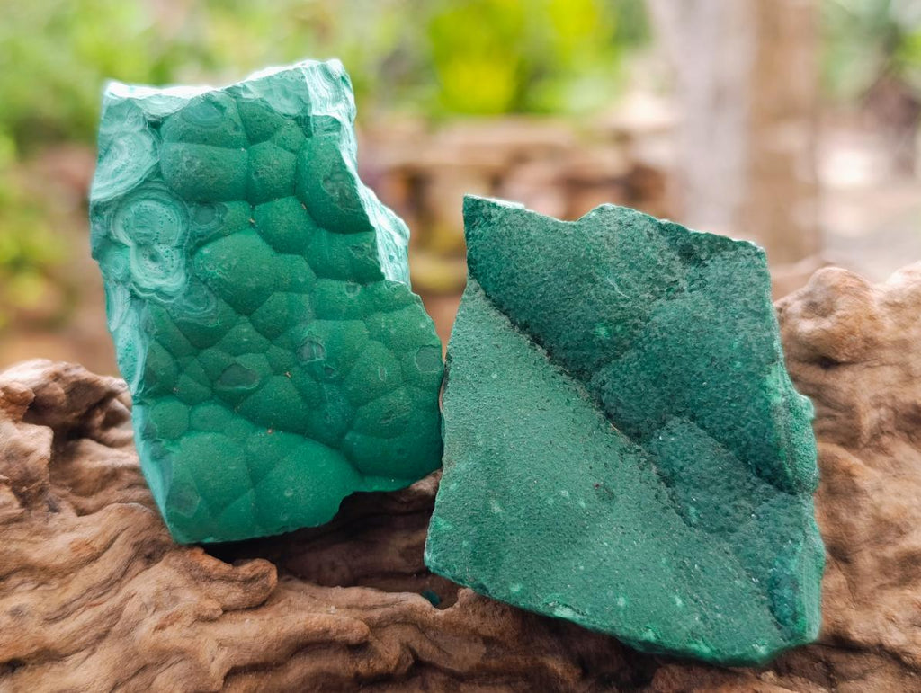 Natural Botryoidal Malachite Specimens x 12 From Congo - Toprock Gemstones and Minerals 