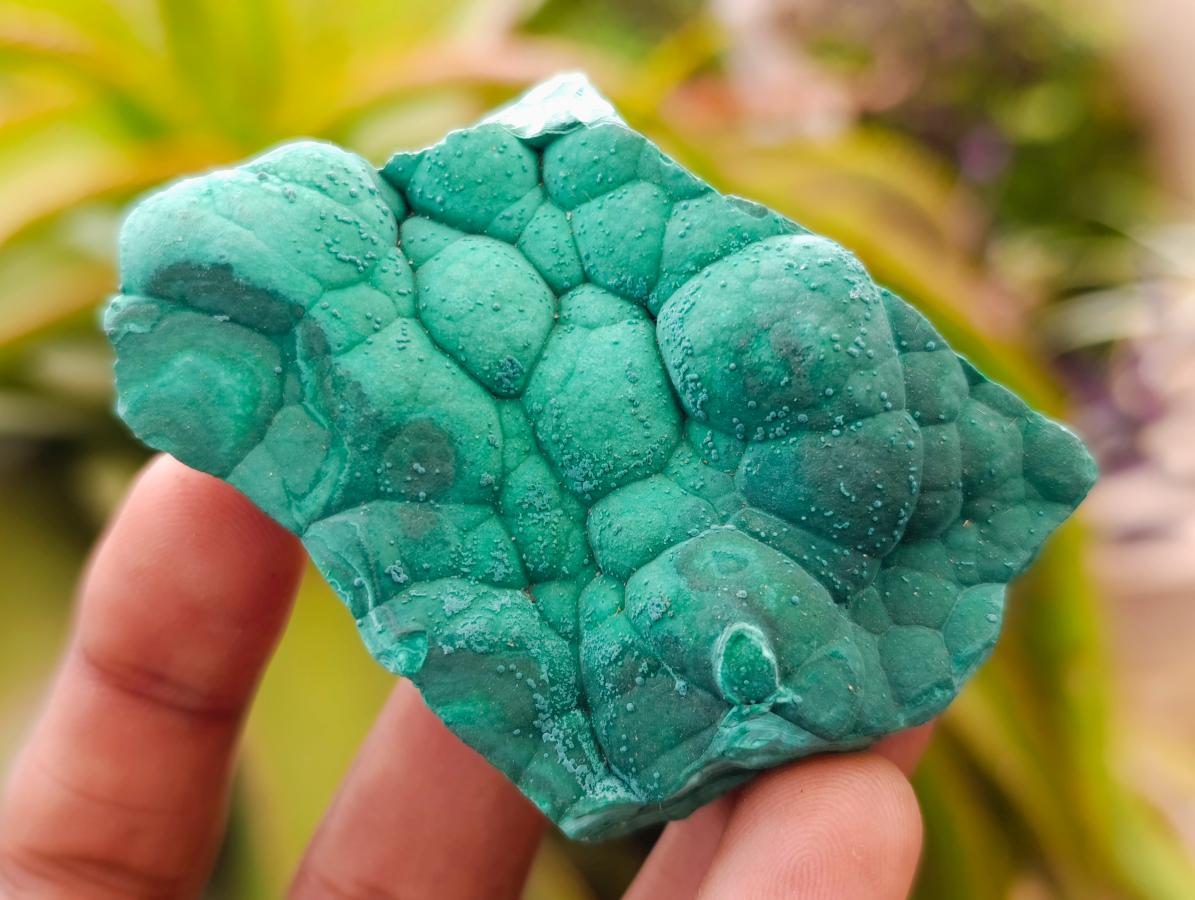 Natural Botryoidal Malachite Specimens x 12 From Congo