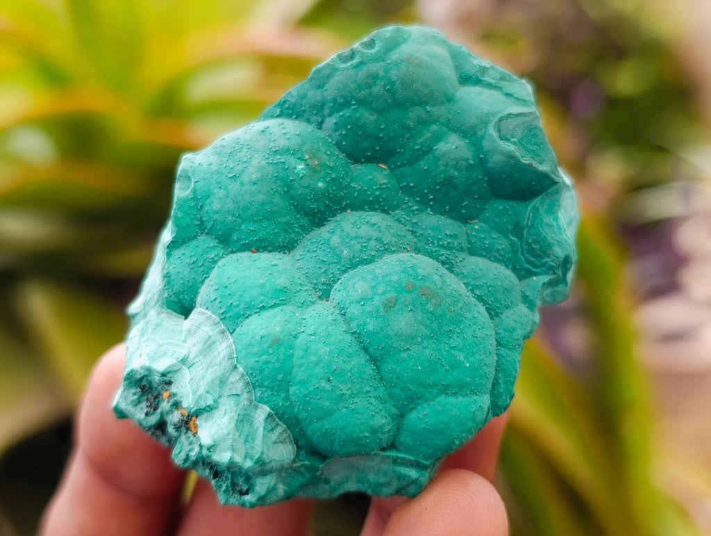 Natural Botryoidal Malachite Specimens x 12 From Congo - Toprock Gemstones and Minerals 
