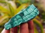 Natural Botryoidal Malachite Specimens x 12 From Congo - Toprock Gemstones and Minerals 